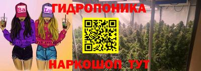 стаф Гусев